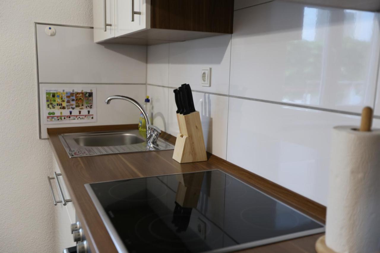 Appartement Turan フリードリヒスハーフェン エクステリア 写真